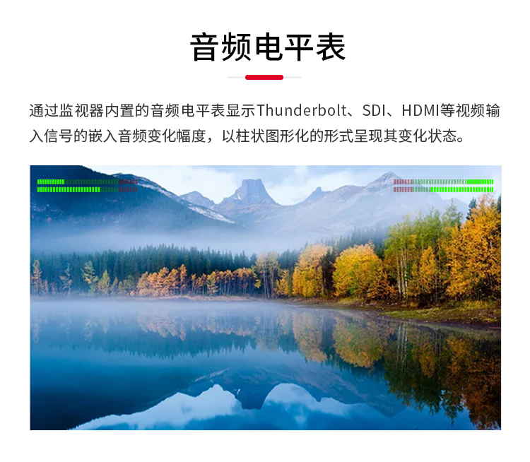 广播级雷电调色监视器(图5)